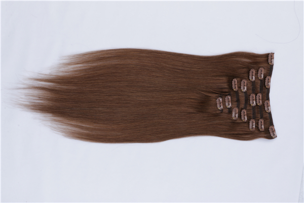 Clip in Hair Extensions Double Weft  Remy Human Hair Grade  Thick Long Soft Silky Straight YL339